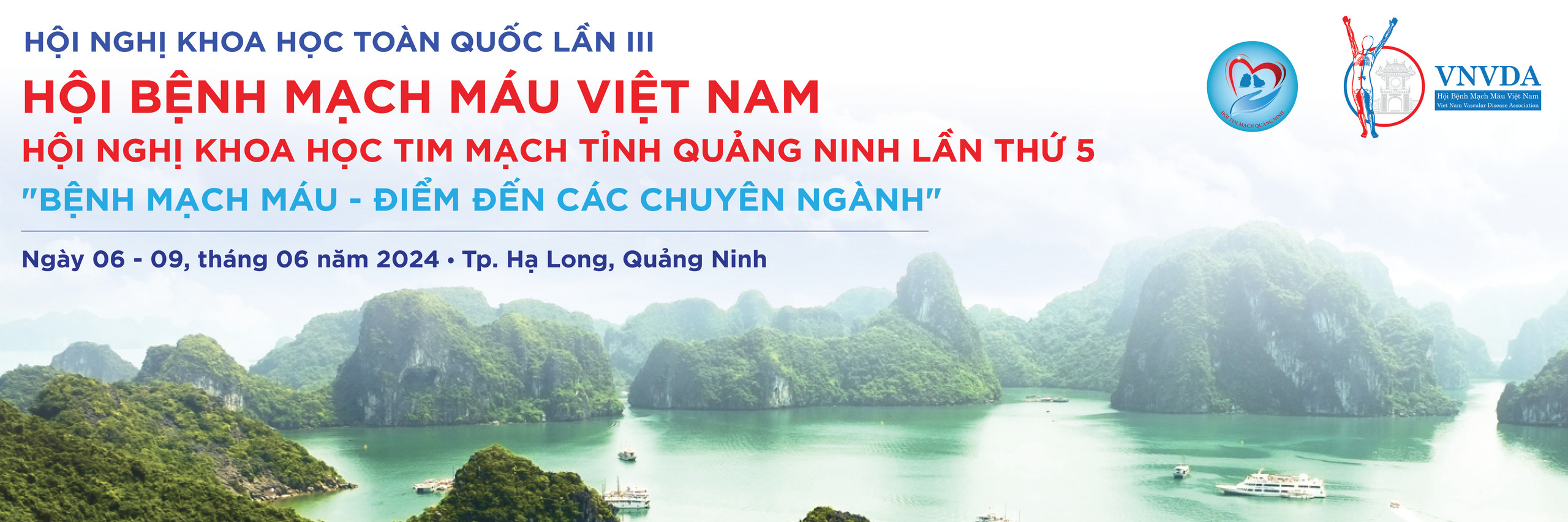 Hội bệnh mạch máu 2024 tại Quảng Ninh